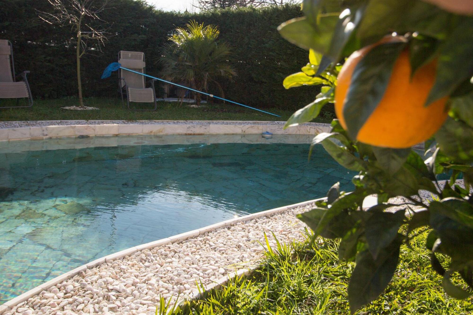 Guest H4U - Villa Garden & Pool 波瓦－迪瓦尔津 外观 照片